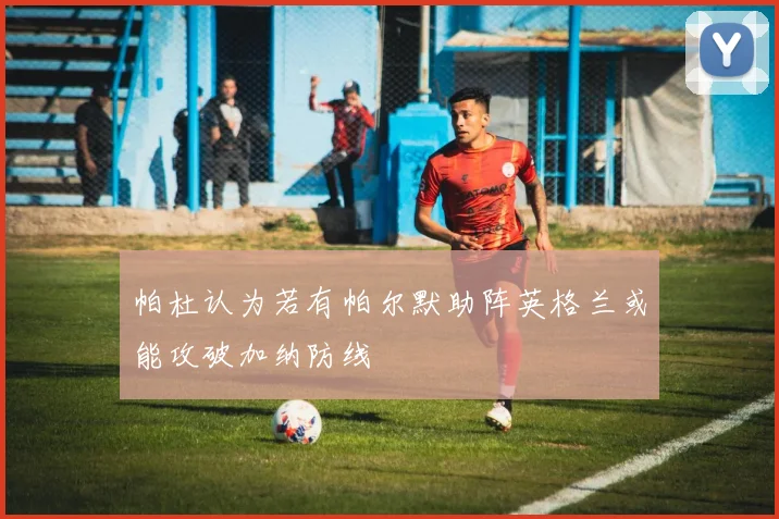 帕杜认为若有帕尔默助阵英格兰或能攻破加纳防线