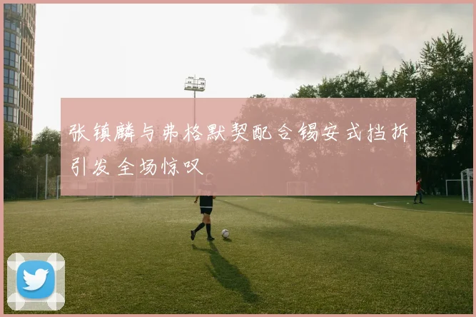 张镇麟与弗格默契配合锡安式挡拆引发全场惊叹